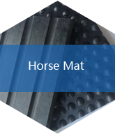 Horse Mat